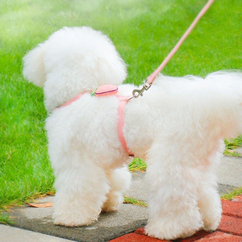 ペットハーネス シンプル 犬用 ハーネス 中型犬 ハーネスリードセット 犬 小型犬 ネコ用ハーネス リード 簡単装着 2点セット お散歩 猫用 犬用ハーネス リーシュ ペット用品 おしゃれ 胴輪 お出