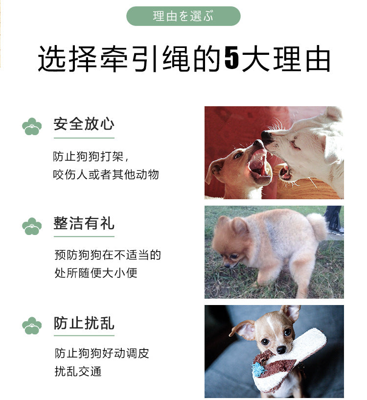 2点セット おしゃれ お出かけ リード ネコ用ハーネス ハーネス ペット用品 小型犬 犬 リーシュ 軽量 犬用ハーネス 中型犬 猫用 犬用 ペットハーネス ハーネスリードセット お散歩 簡単装着 胴輪