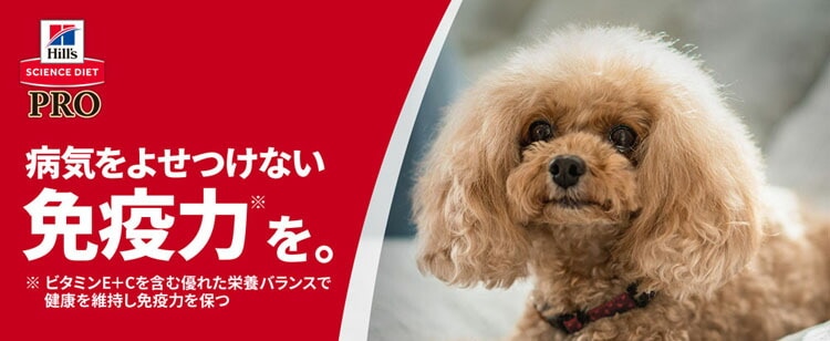 (2個セット)ドッグフード シニア 中型犬 サイエンスダイエットプロ犬用 シニアトータルケア機能 中粒 7歳以上 3kg ヒルズ メガ割