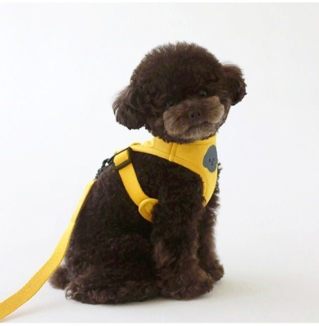 韓国版の中で小型の犬のテディは熊のコーキに比べて外出して犬を散歩します メガ割ワンピースパンツトートバッグ