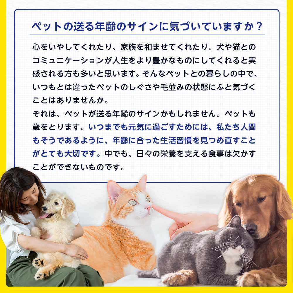 <a href="https://www.qoo10.jp/gmkt.inc/Search/brand.aspx?brandno=128060" target="_blank" class="title_brand" id="btn_brand" title="Suntory Wellness">Suntory Wellness</a>サントリー 公式 Pet Health (ペットヘルス) セサミンE 動物用栄養補助食品 ビタミンE 30粒入/約15~30日分