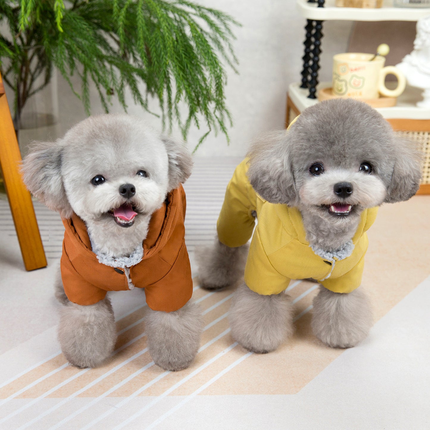 人気犬の服ペットの服小型犬や猫が着ることができる秋と冬暖かく快適なカレッジ四本足コットンコート