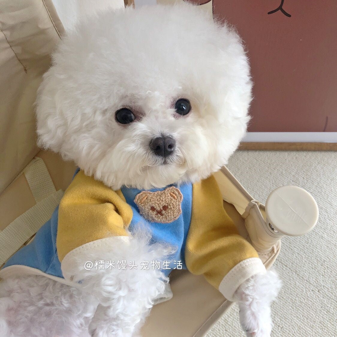 韓国 ペットウェア 新しい切り替えペット冬服 暖かいゆったりペットウェア シンプル中型犬服 可愛い