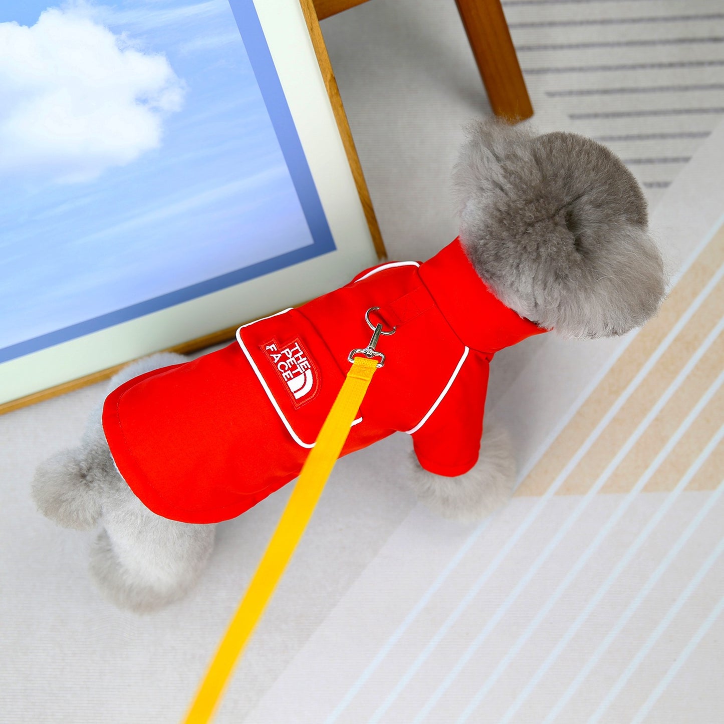 猫 犬 洋服 犬服 ペット服 大中小型犬 ペット用品 犬/猫用 犬の服 ペットウエア 小型犬 中型犬 通気 可愛い ドッグウェア トレーナー 犬 服 ワンピース サロペット ビションフリーゼ 犬猫服