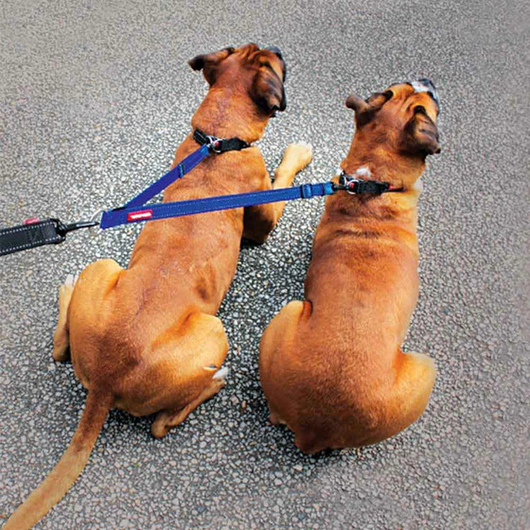 EZ ソフトエクステンション ダブル EZYDOG