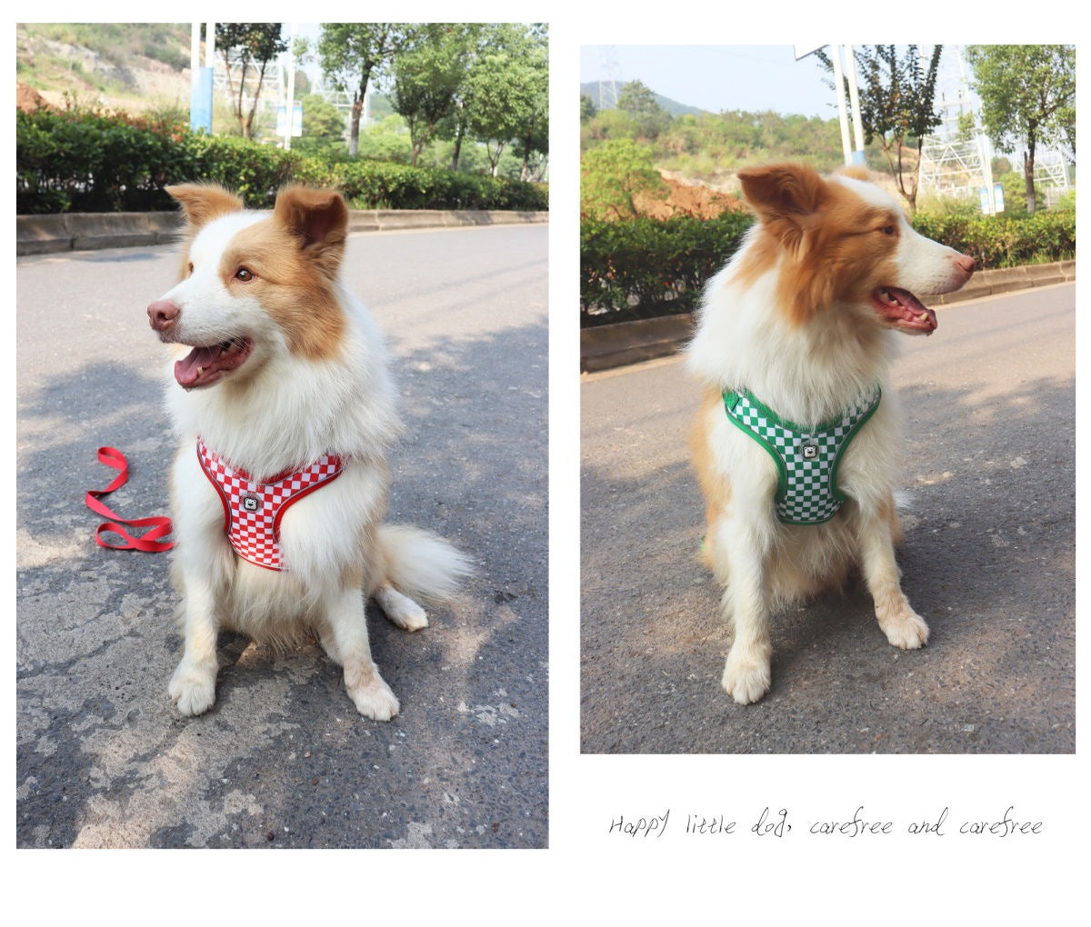 ペットベスト犬ロープ牽引ロープ反射小型通気性外出ストラップ散歩犬子犬子犬子犬チェーン メガ割ワンピースパンツトートバッグ