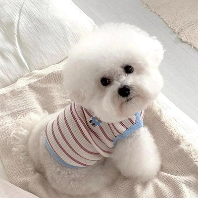 春夏新作 犬服 ペット服 犬 洋服 ペット 犬用品 小中型犬 夏薄型ペットベスト猫小型子犬犬服夏