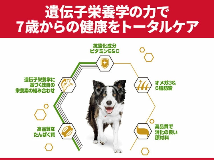 (2個セット)ドッグフード シニア 中型犬 サイエンスダイエットプロ犬用 シニアトータルケア機能 中粒 7歳以上 3kg ヒルズ メガ割