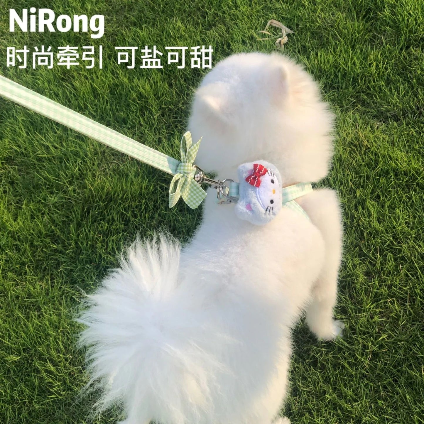 メガ割犬牽引ロープベスト式アニメ屋外散歩犬牽引ロープ小型中型犬犬チェーン犬ロープテディ博美973