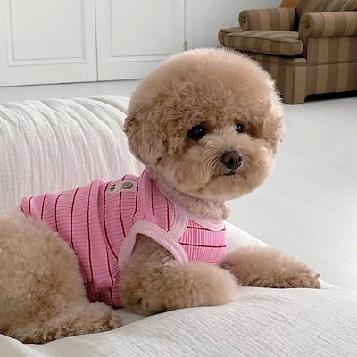 春夏新作 犬服 ペット服 犬 洋服 ペット 犬用品 小中型犬 夏薄型ペットベスト猫小型子犬犬服夏