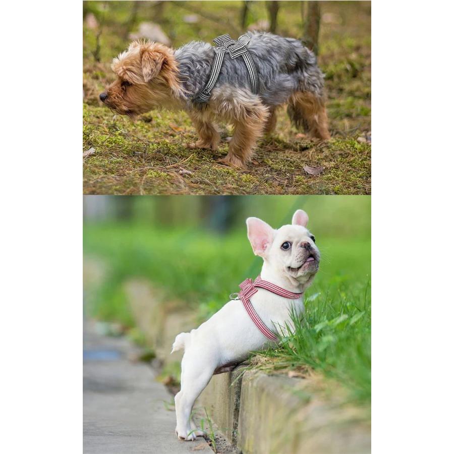 新商品プロモーション,数量限定 犬 猫 ハーネス チェック ペット 服 胴輪 キャット ドッグ リボン犬 猫