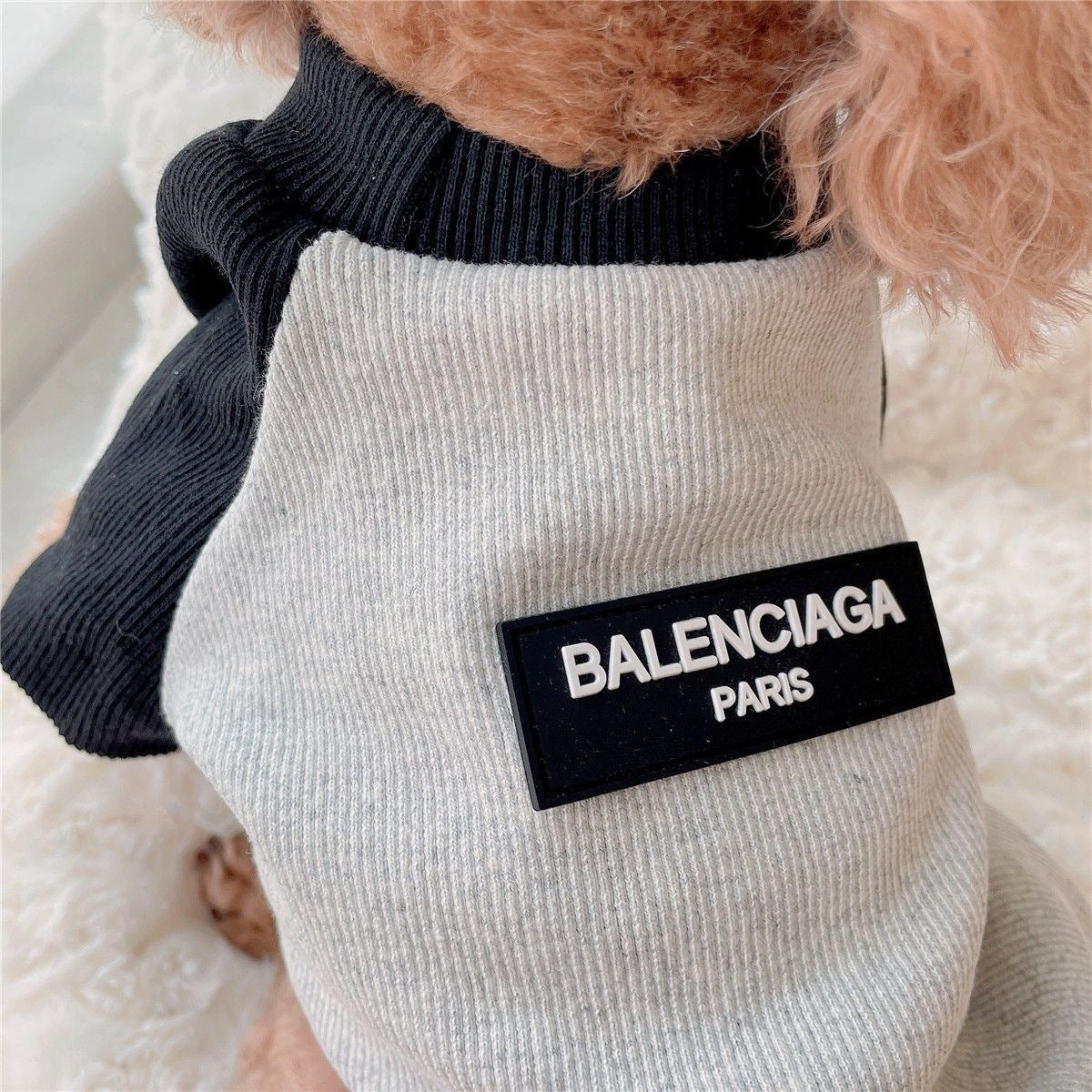 猫子犬服冬服テディビションフリーゼ犬服猫服ペット秋冬服犬 服 犬 犬の服 犬 洋服 犬の服夏 犬洋服