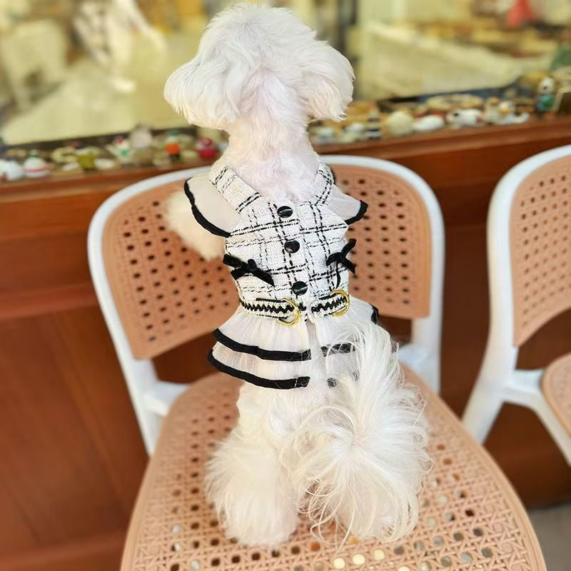 犬の猫の夏の薄いタイプの清新な香りの風は牽引縄を引いて外に出て犬の猫の服を散歩します