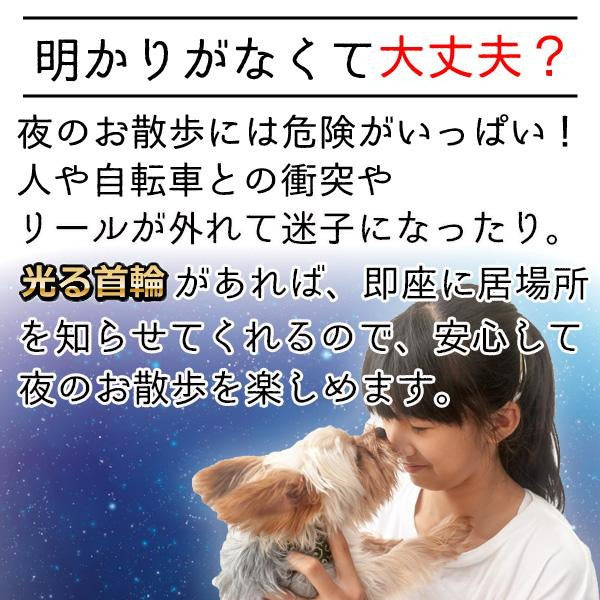 首輪 犬 おしゃれ 小型犬 中型犬 大型犬 光る首輪 犬用 LED ライト USB充電式
