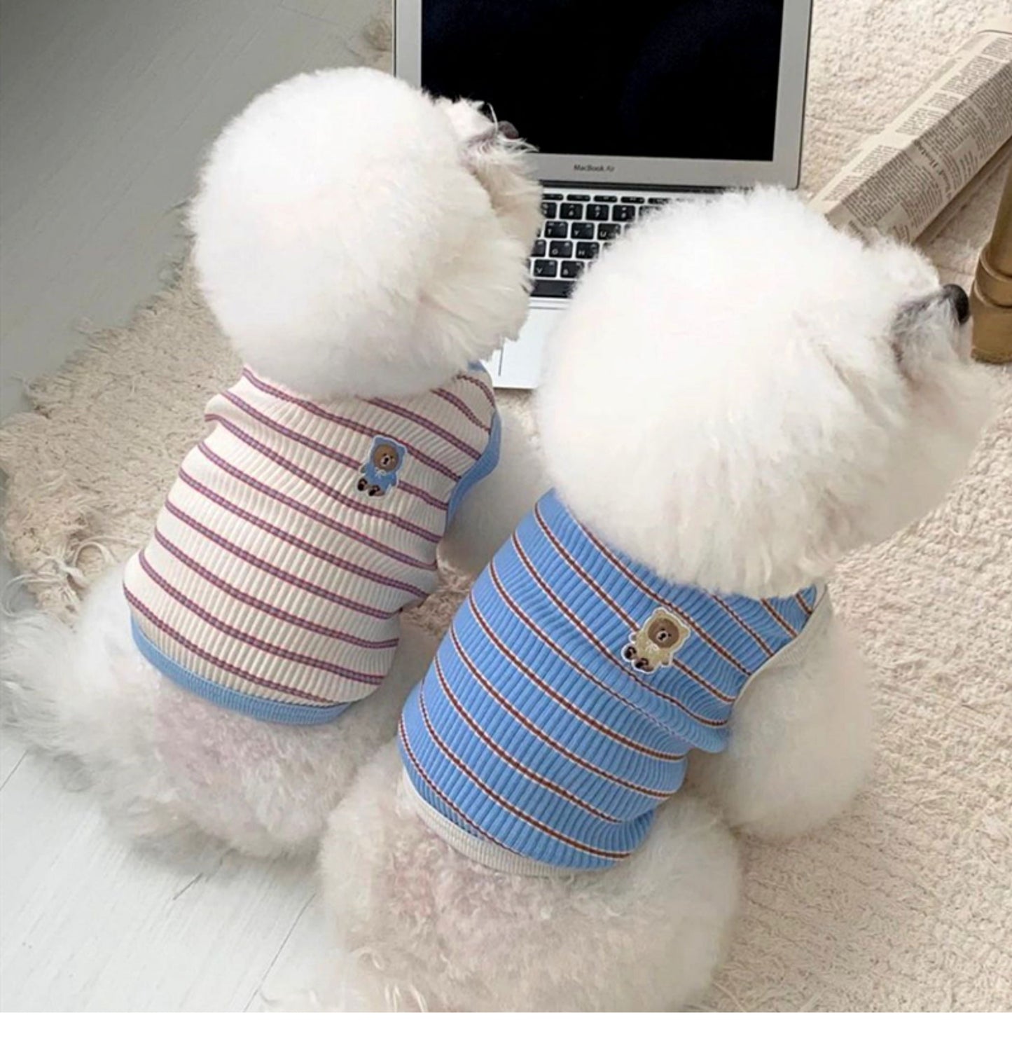 春夏新作 犬服 ペット服 犬 洋服 ペット 犬用品 小中型犬 夏薄型ペットベスト猫小型子犬犬服夏