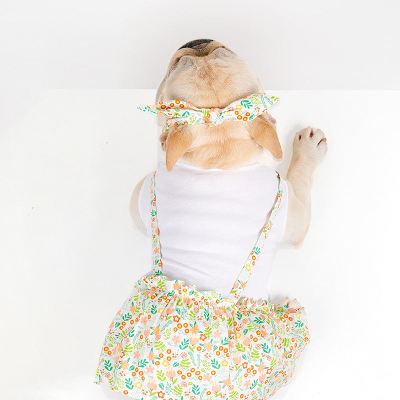 洋服 犬猫服 44 テディビーベア 犬 小型犬 トレーナー サロペット ペット服 大中小型犬 猫 ビションフリーゼ ドッグウェア 犬の服 散歩 ペットウエア 可愛い 通気 綿 犬用品 中型犬 服 犬服
