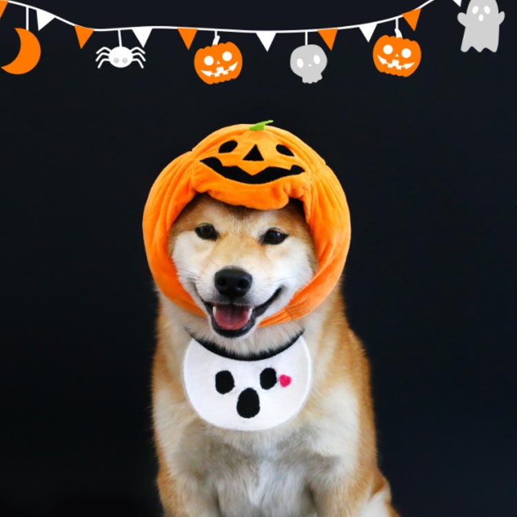 タイムセール 服 衣装 犬 帽子 ハロウィン かぼちゃ パンプキン ペット 着ぐるみ スタイ 被り物 かぼちゃ帽子 コスプレ もしろ ハロウィン 帽子 コスチューム 幽霊 犬 猫 ドッグウェア ペット