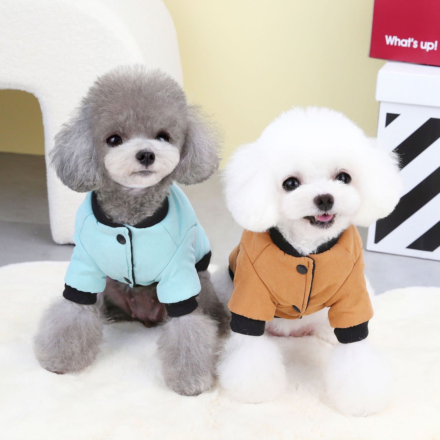 猫 犬 洋服 犬服 ペット服 大中小型犬 ペット用品 犬/猫用 犬の服 ペットウエア 小型犬 中型犬 通気 可愛い ドッグウェア トレーナー 犬 服 ワンピース サロペット ビションフリーゼ 犬猫服
