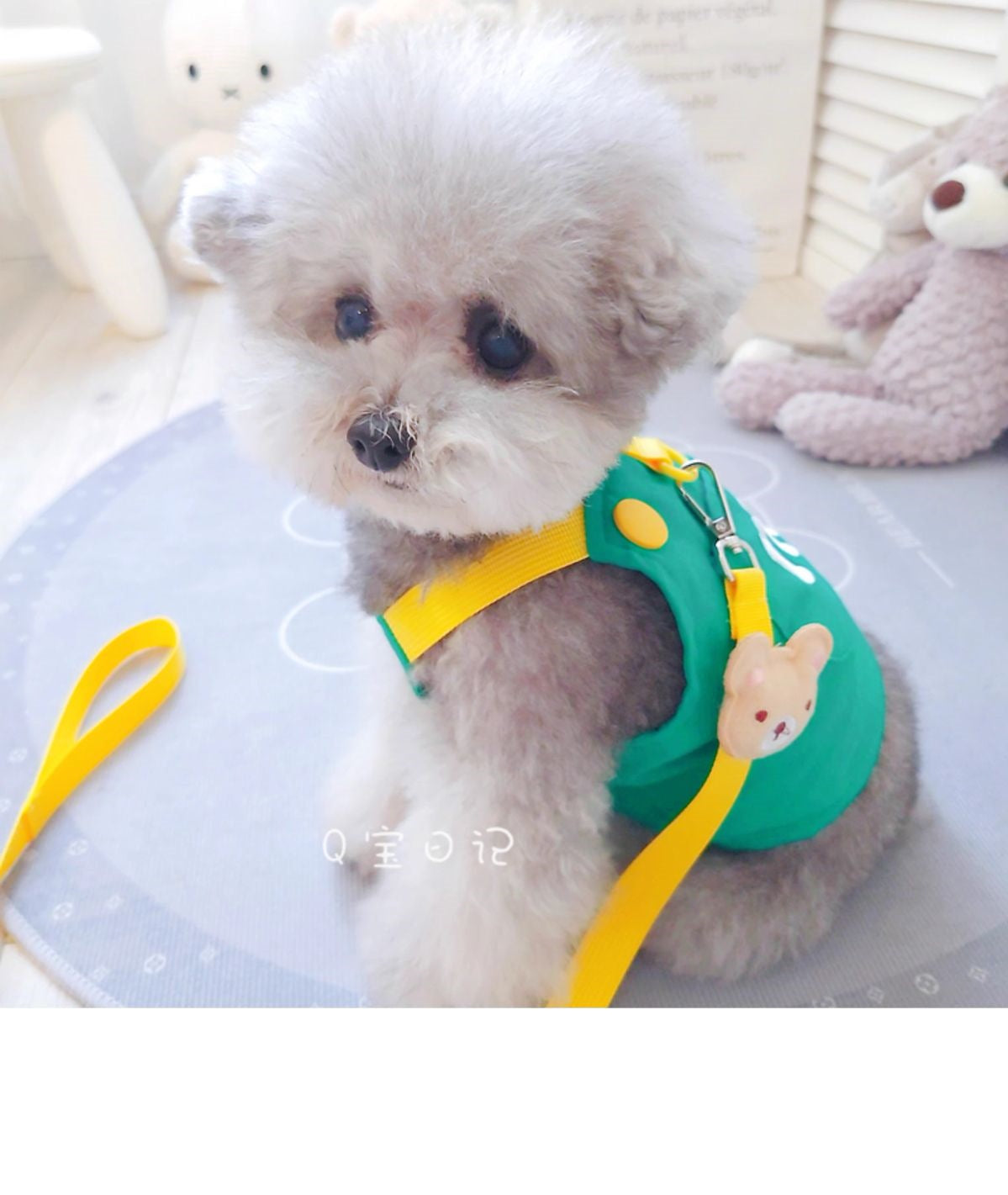 ペットの猫の小型犬のテディの犬の胸のストラップの牽引ロープのベスト式のドッグランの犬のひものかっこいいかわいい衝突色 メガ割ワンピースパンツトートバッグ