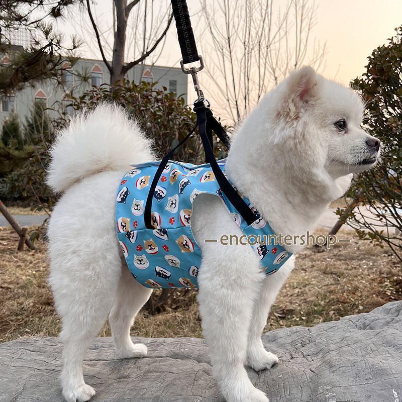 安くなった!犬 服 ハーネス ペット服 犬用 クールベスト 熱中症対策 暑さ対策 ひんやり 保冷剤付き ベスト クール 瞬間冷却 小型犬 中型犬 お散歩 お出掛け