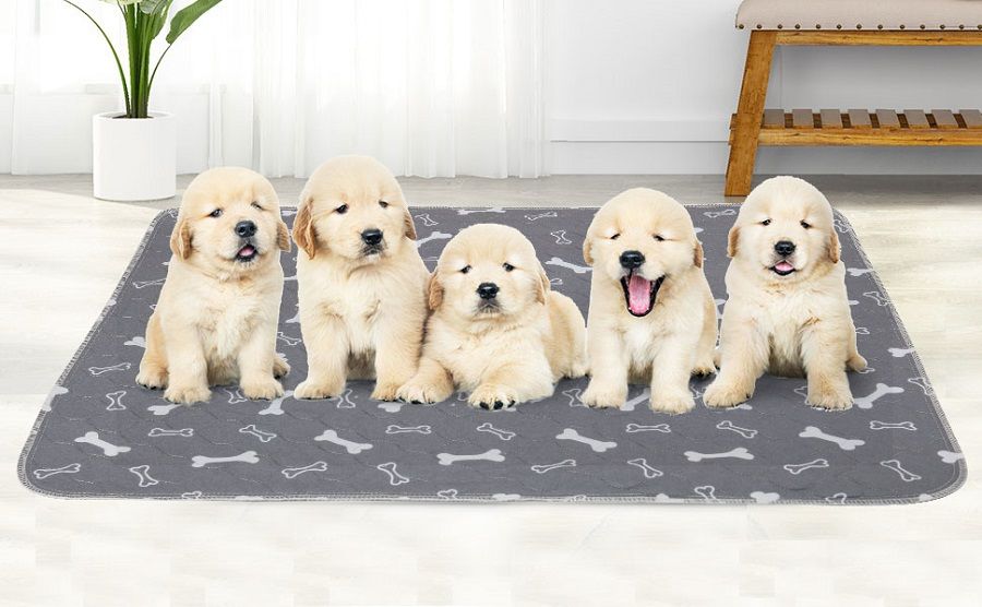 新作セールペットおしっこマット ペットベッド クッション 2枚入り 犬 猫 ペットシーツ ペット用おしっこパッド 介護パッド 防水 速乾 洗える 再使用可能 80*90cm2025年