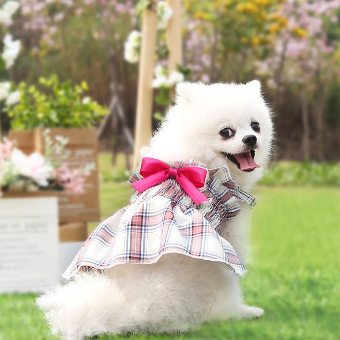 犬 ウェア りぼん ワンピース 中型犬 ドッグ リボン ドレス 秋 犬服 フリル ペット ドッグウェア 小型犬 夏 冬 猫 スカート 春 服