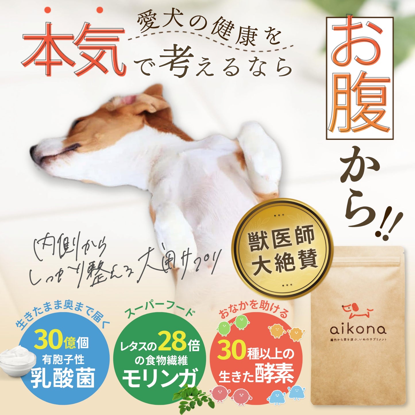 【獣医師監修】 あいこな 犬 サプリ 腸活 腸内環境 整腸 皮膚 お腹の健康維持 犬 猫 乳酸菌 モリンガ 食物繊維 酵素 サプリメント 60g