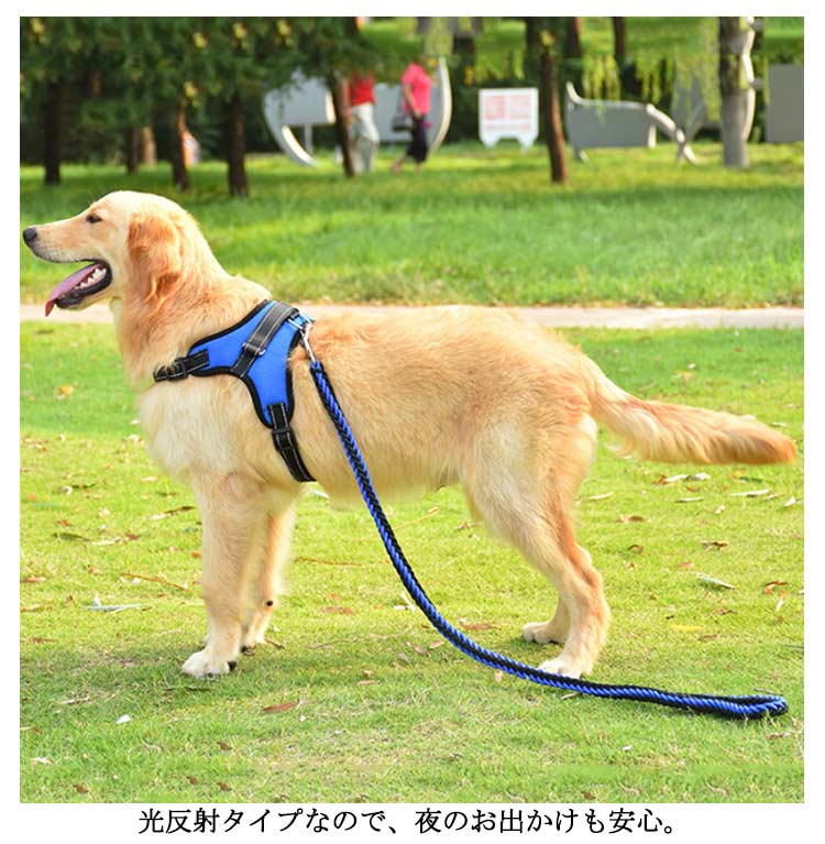 キャンペーンハーネス 犬 大型犬 柴犬 3点セット 抜けない 小型犬 調整可能 ハンドル付き 抜けにくい ハーネスリードセット 3点セット ステップハーネス 脱出防止 ウェアハーネス 犬用 ペットハー