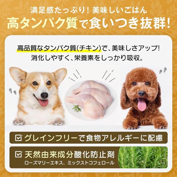 LOT PREMIER ロットプレミア チキン&アガリクス 全犬種 高齢犬7才以上 小粒 500g ドッグフード