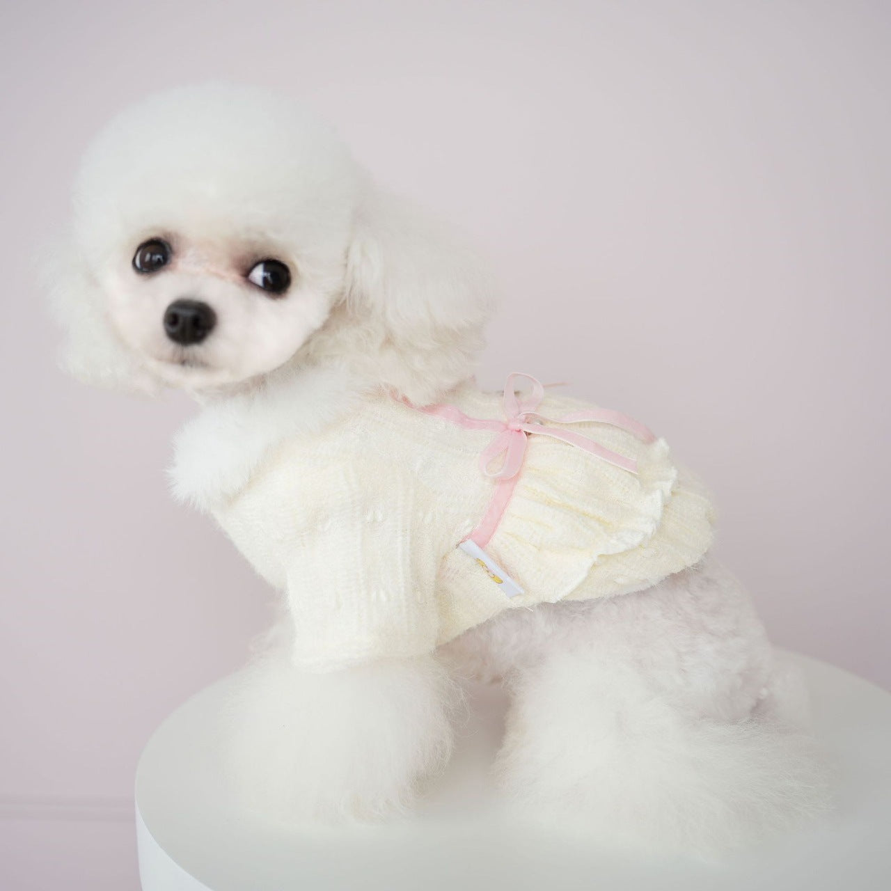 犬服ペット猫服かわいいソフトウールふくらませドレス快適ソフトもちもち冬居心地の良い暖かい服