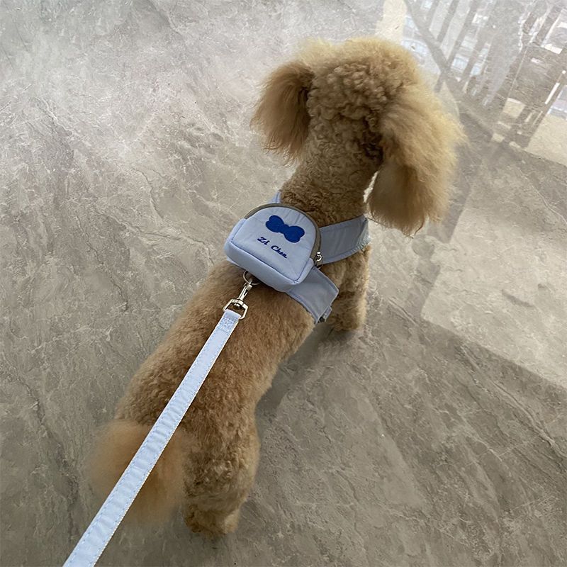 かわいいペットの犬はバックパックから散歩に出かけます