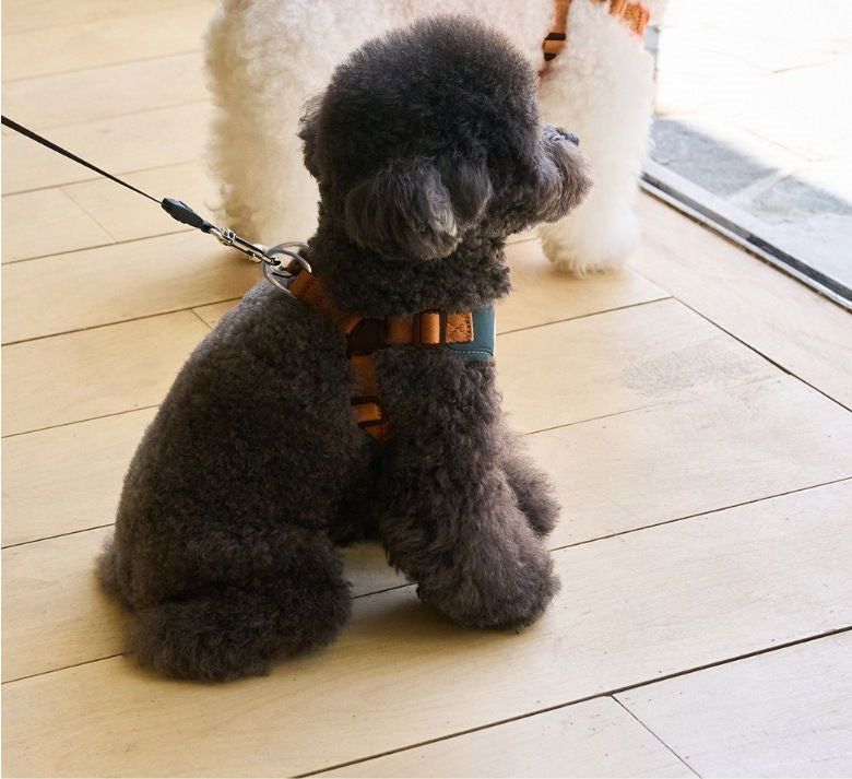 ペット胸ストラップ牽引セット小型犬外出ベスト式牽引ロープ通気テディ熊犬ロープ メガ割ワンピースパンツトートバッグ