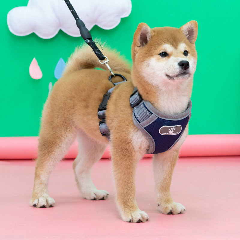 ペットハーネス BL-852 小型犬 中型犬 大型犬 ペット 犬 ハーネス 胴輪 ドッグ 犬用 メッシュ ベスト型 ソフトベストハーネス ベストハーネス