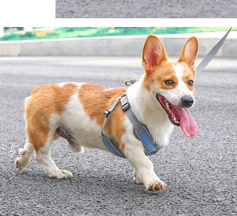 丈夫 ハーネス 大型犬 ハーネスリードセット犬用 小型犬 リフレクター付き 通気性 頑丈 2点 かっこいい 反射素材 犬 負担軽減 サイズ調整 衝撃緩和 中型犬