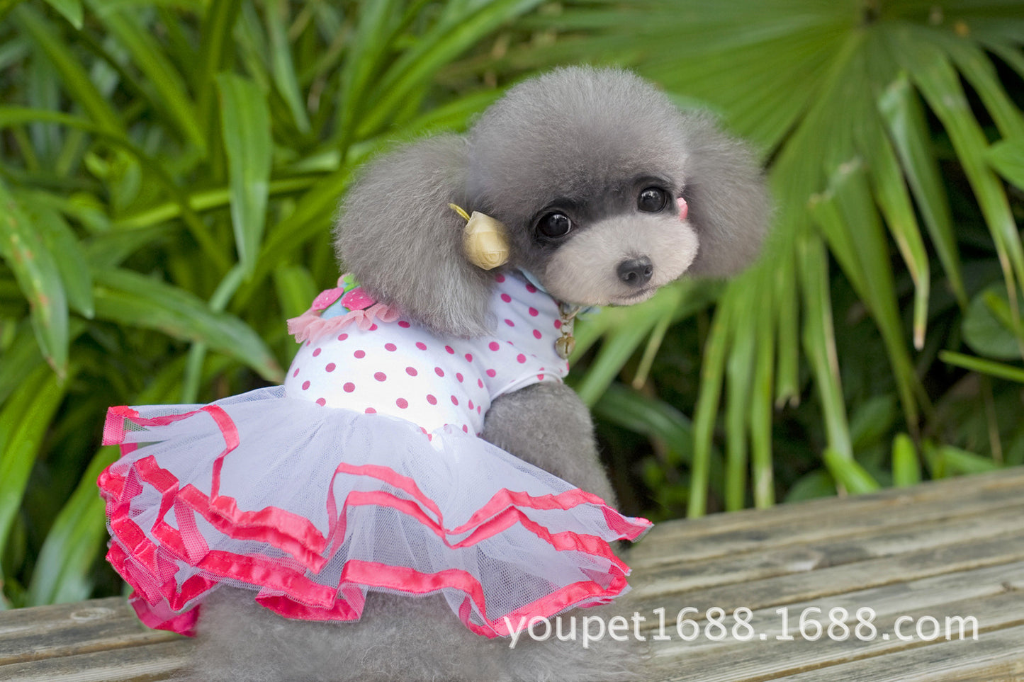 猫 犬 洋服 犬服 ペット服 大中小型犬 ペット用品 犬/猫用 犬の服 ペットウエア 小型犬 中型犬 通気 可愛い ドッグウェア トレーナー 犬 服 ワンピース サロペット ビションフリーゼ 犬猫服