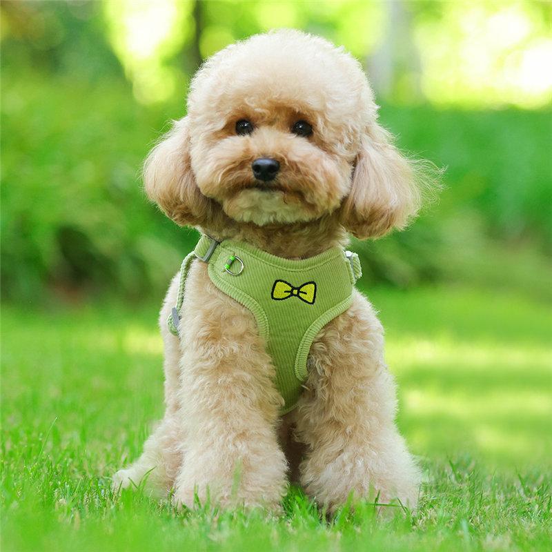 中型犬小型犬散歩グッズ 簡単装着 犬 脱げない 首輪 4カラー 苦しくない ハーネスリードセット おしゃれな