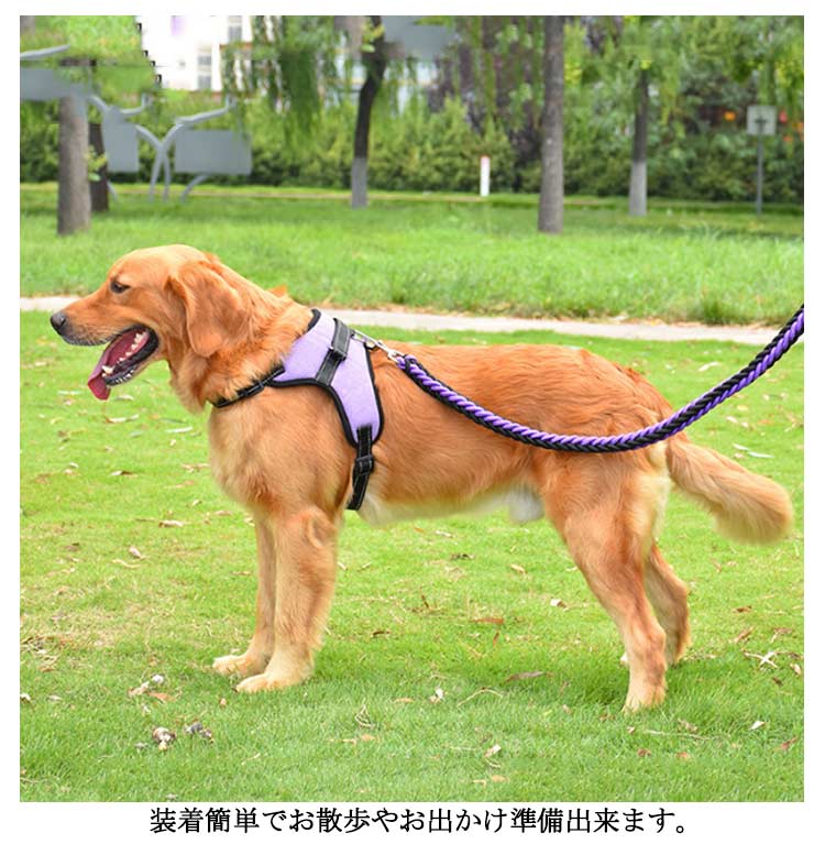 キャンペーンハーネス 犬 大型犬 柴犬 3点セット 抜けない 小型犬 調整可能 ハンドル付き 抜けにくい ハーネスリードセット 3点セット ステップハーネス 脱出防止 ウェアハーネス 犬用 ペットハー