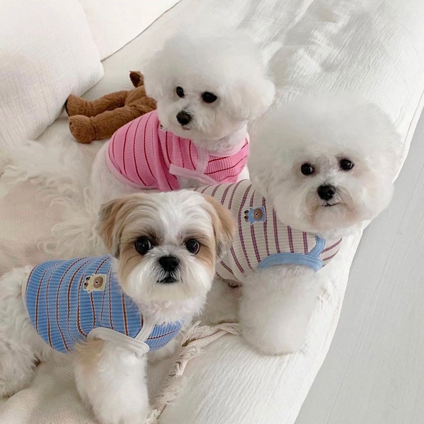 春夏新作 犬服 ペット服 犬 洋服 ペット 犬用品 小中型犬 夏薄型ペットベスト猫小型子犬犬服夏