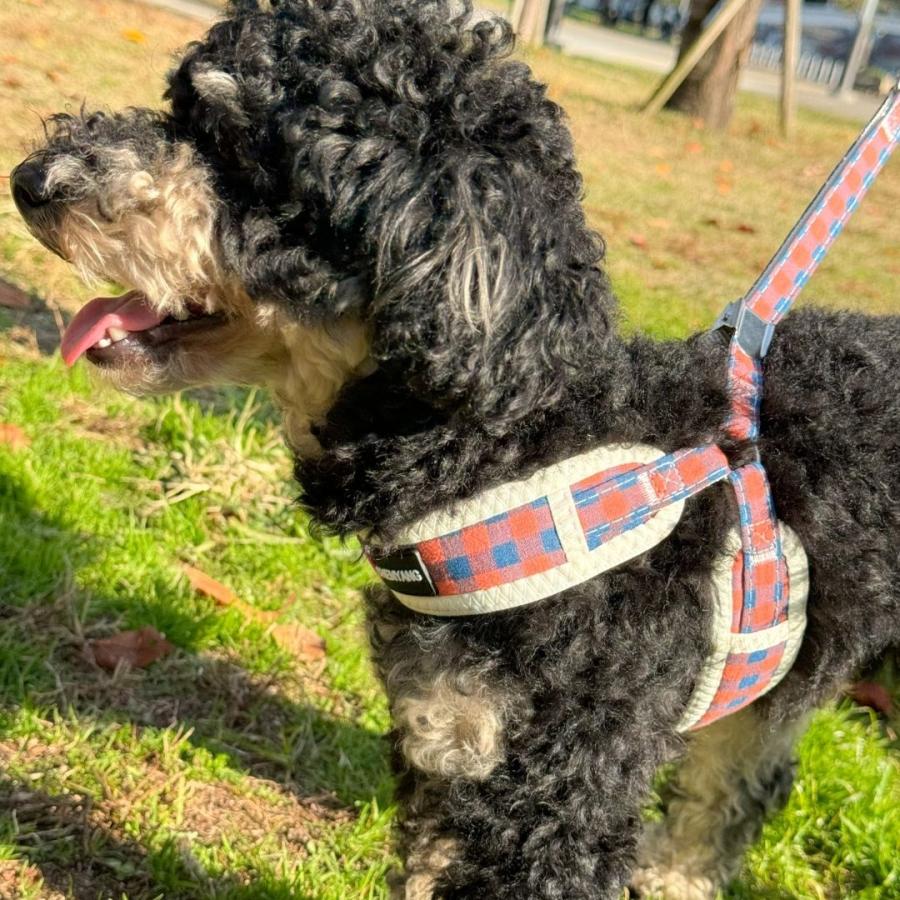 フレブル 胴輪 犬 小型犬 ハーネス チェック柄メッシュハーネスリードセット 中型犬 柴犬 犬用ハーネス おしゃれ 犬のハーネス ソフトハーネス