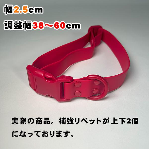 リード 速乾 セット カラフル お手入れ簡単 PVC 防カビ 犬 防水 首輪 中型犬 アウトドア 柴犬 おしゃれ 雨の日