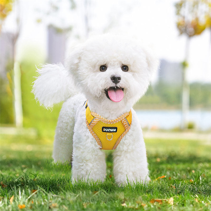 犬ハーネスリードセット 4カラー 抜けない メッシュ素材 着脱簡単 春夏用最適 2023新品 蒸れない 通気性抜群