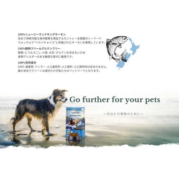 Y.K エンタープライズ Addiction アディクション サーモンブルー グレインフリー ドッグフード 1.8kg 1800g 犬 餌 サーモン 魚