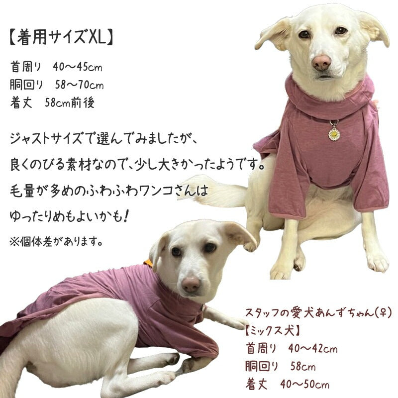 <a href="https://www.qoo10.jp/gmkt.inc/Search/brand.aspx?brandno=125763" target="_blank" class="title_brand" id="btn_brand" title="Coo Couture">Coo Couture</a>SWDテラヘルツワンベルクロTシャツペット介護 犬用ペットウェア 中型犬 大型犬 犬服 テラヘルツワン クークチュール 2メ-3運 12137 【T】