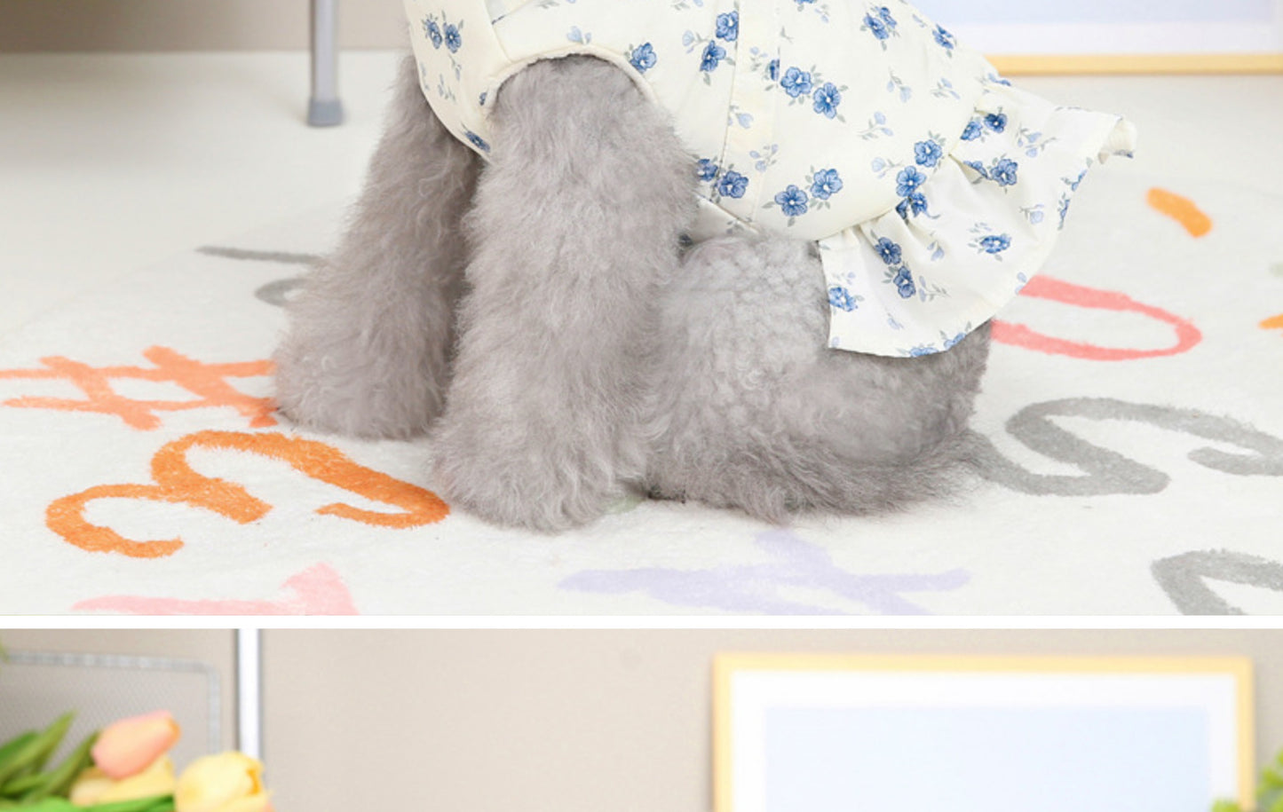 猫 犬 洋服 犬服 ペット服 大中小型犬 ペット用品 犬/猫用 犬の服 ペットウエア 小型犬 中型犬 通気 可愛い ドッグウェア トレーナー 犬 服 ワンピース サロペット ビションフリーゼ 犬猫服