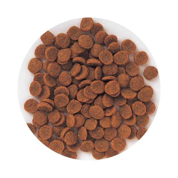 フィッシュ&ポテト 子犬・成犬用 14.5kg 森乳サンワールド