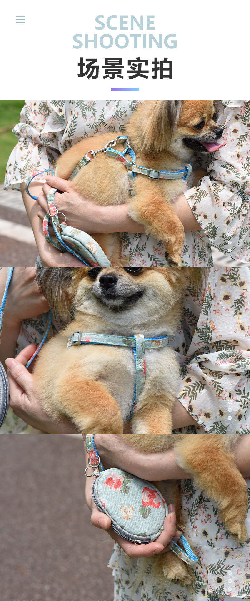 おしゃれ ペット用品 100 ハーネス 軽量 犬 簡単装着 中型犬 犬用 ネコ用ハーネス 胴輪 猫用 お散歩 お出かけ シンプル 小型犬 リーシュ リード 2点セット ペットハーネス 犬用ハーネス ハ
