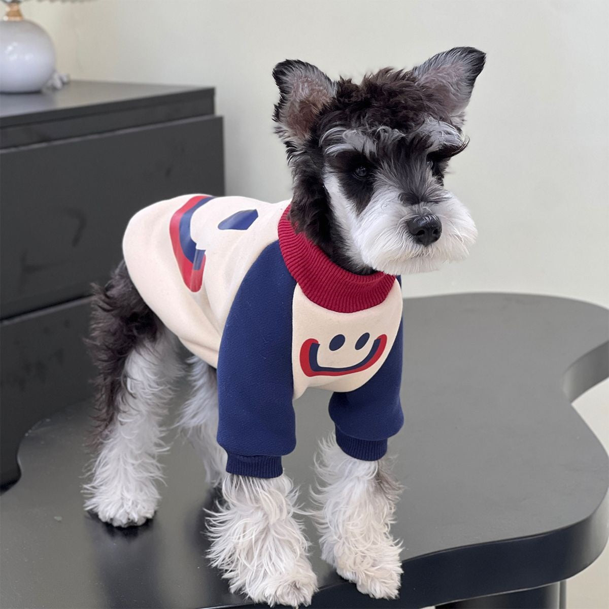 ペット 猫 犬の服 秋と冬 シュナウザーの服 パッチワーク タイド スウェット テディ ビションフリーゼ 犬 服 犬の服 犬 洋服 犬の服夏 犬洋服