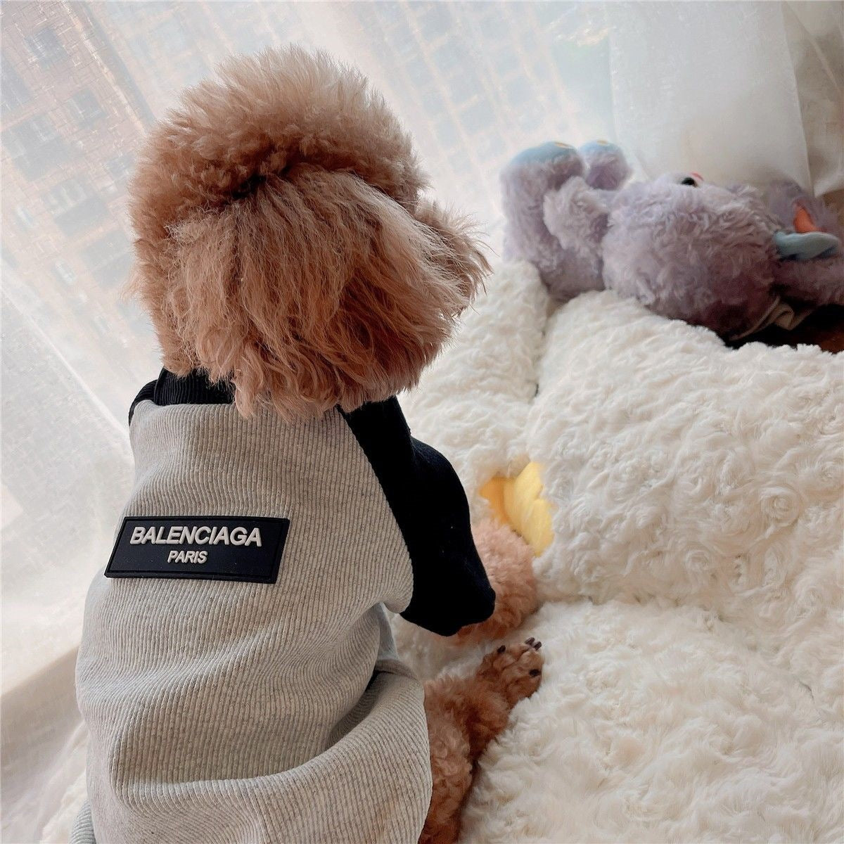 猫子犬服冬服テディビションフリーゼ犬服猫服ペット秋冬服犬 服 犬 犬の服 犬 洋服 犬の服夏 犬洋服