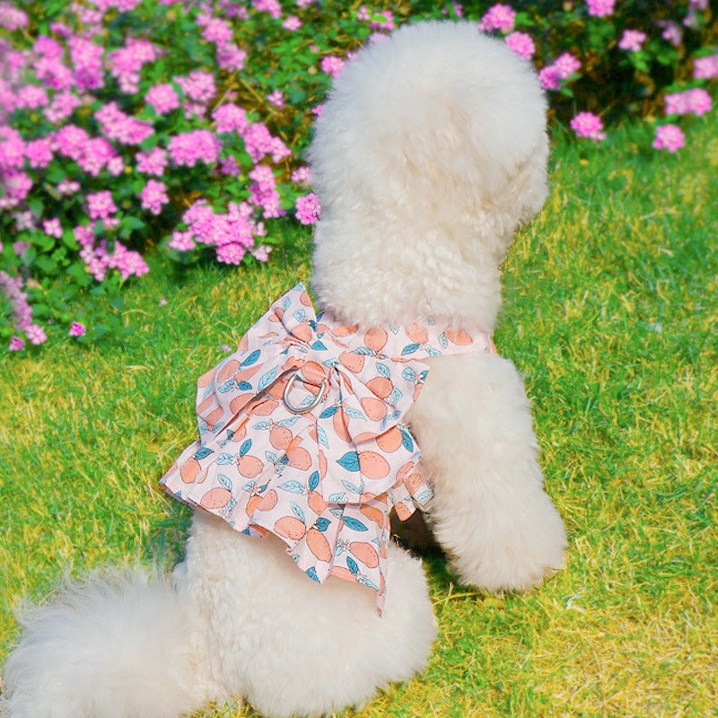 犬用 中型犬 簡単装着 シンプル 87 犬用ハーネス ペットハーネス ハーネス 犬 軽量 ハーネスリードセット ペット用品 小型犬 おしゃれ 胴輪 リード お出かけ 2点セット リーシュ お散歩 ネコ