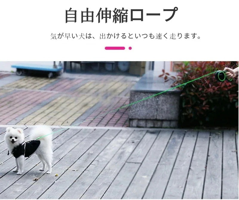 沸騰新柄追加 ペット用品 犬用品 巻き取りリード伸縮リード 補助リード フレキシ あったら 多用途 手離し予防リード ストラップ ひったくり防止にも 簡単取り付け 伸縮リード 犬用 ニューコンフォート
